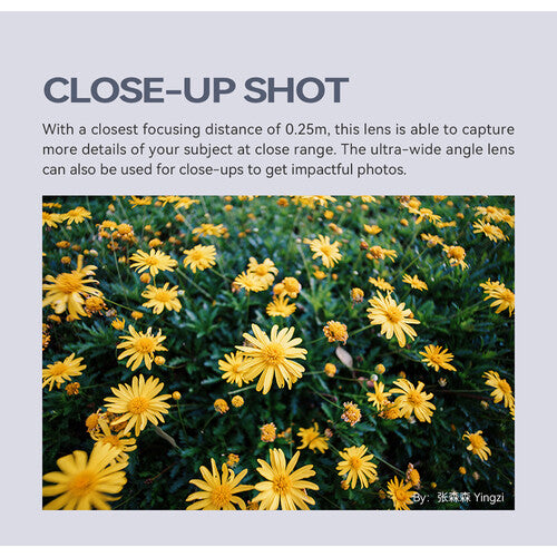 10mm F2 APS-C Ultra-Wide Camera Lens for M43 Mount