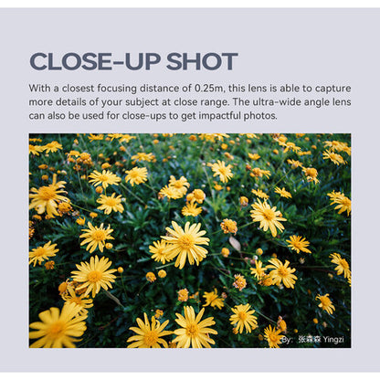 10mm F2 APS-C Ultra-Wide Camera Lens for M43 Mount