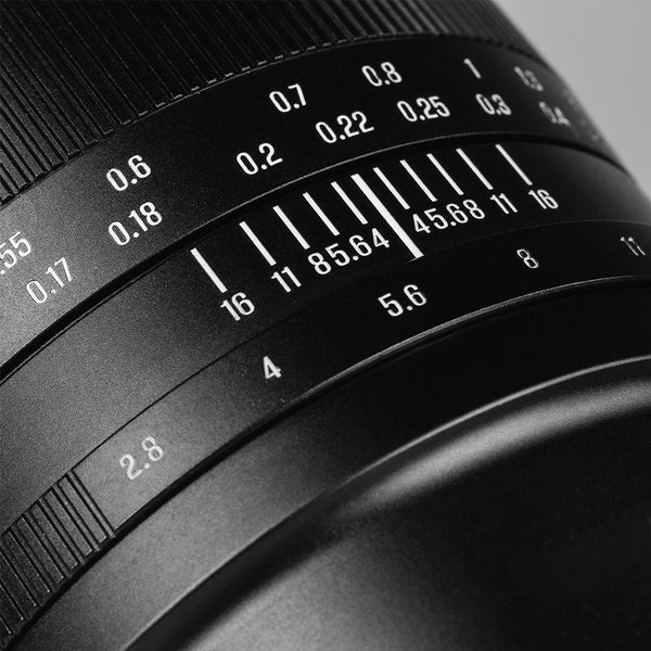 10mm f/2.8 Mark II Ultra Wide-angle Full-frame Fisheye Lens for E/L/R/Z