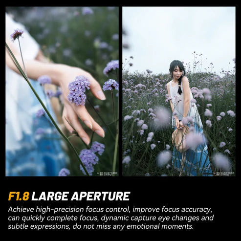 AF 24mm F1.8 Full-frame Lens for E