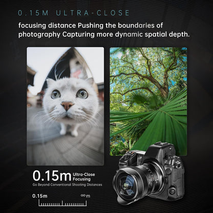 AF 10mm F2.5 Full-frame Lens for E